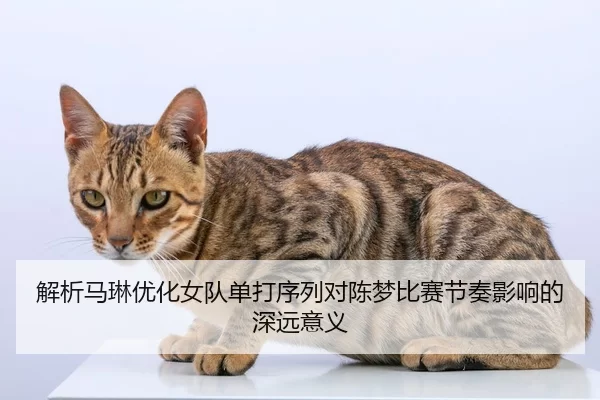 解析马琳优化女队单打序列对陈梦比赛节奏影响的深远意义
