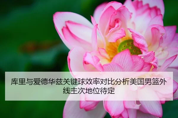库里与爱德华兹关键球效率对比分析美国男篮外线主次地位待定