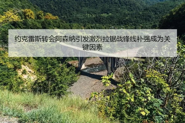 约克雷斯转会阿森纳引发激烈拉锯战锋线补强成为关键因素