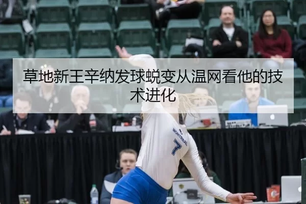 cao-di-xin-wang-xin-na-fa-qiu-tui-bian-cong-wen-wang-kan-ta-de-ji-shu-jin-hua-2-356.jpg