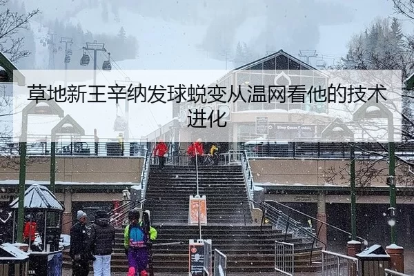 草地新王辛纳发球蜕变从温网看他的技术进化