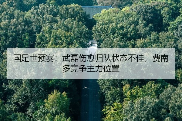 国足世预赛：武磊伤愈归队状态不佳，费南多竞争主力位置